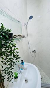 een badkamer met een wastafel, een douche en een plant bij Family Apt With New Ac in Amman