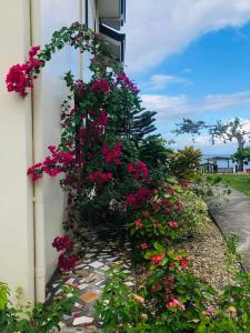 a bunch of flowers on the side of a building at D's Oceanview Beach Resort in Siquijor