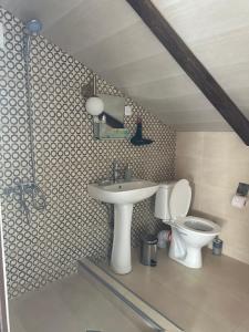 卡茲別吉的住宿－Hotel Nestt，一间带水槽和卫生间的浴室
