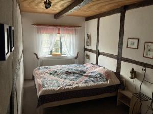 - une chambre avec un lit et une fenêtre dans l'établissement Ferienwohnung Buren Stuuv, à Bösdorf