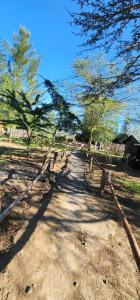 uma estrada de terra com árvores e uma cerca em Lillypond Camp em Elmenteita