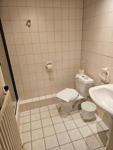 La salle de bains est pourvue de toilettes et d'un lavabo. dans l'établissement hotel le bonheur, à Eijsden