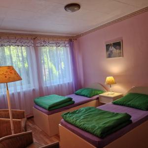 a room with two beds with green sheets and a lamp at Ośrodek Wypoczynkowy Puszczyk Domek Akacjowy- Apartament -Willa in Sieraków