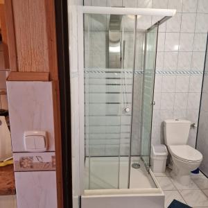a bathroom with a toilet and a glass shower at Ośrodek Wypoczynkowy Puszczyk Domek Akacjowy- Apartament -Willa in Sieraków