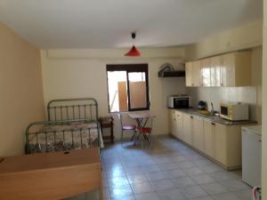 Dapur atau dapur kecil di Petros Studios mastixa