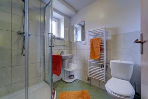 a bathroom with a shower and a toilet and a sink at Apartmany Na Skle Malovane in Liptovská Kokava +31 photos