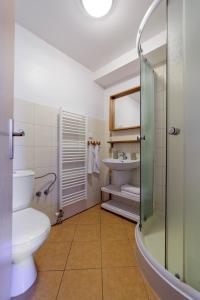 a bathroom with a toilet and a sink at Apartmany Na Skle Malovane in Liptovská Kokava