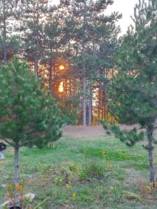 Gallery image of Pine dream in Ohrid