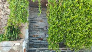 Vườn quanh Aegean Beachfront