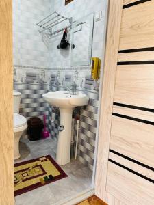 a bathroom with a sink and a toilet at Parivash Guest House in Bukhara