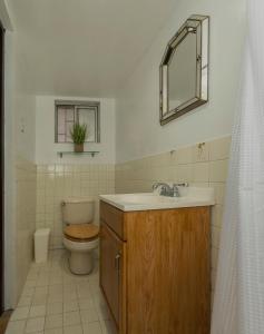 y baño con aseo, lavabo y espejo. en Charming 3-Bed House in Chihuahua en Chihuahua