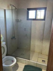 a bathroom with a shower and a toilet at Departamento con vista al lago in Puerto Libertad