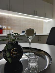 una copa de vino en la parte superior de un fregadero de cocina en Vlada apartmani, en Vrnjačka Banja 9 fotos más
