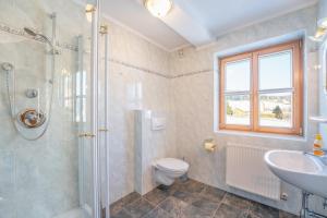 ein Bad mit einer Dusche, einem WC und einem Waschbecken in der Unterkunft Haus Holzer in Sankt Andrä im Lungau