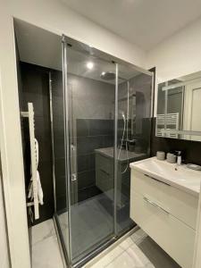 a bathroom with a glass shower and a sink at Charmant appartement une chambre in Ville-la-Grand