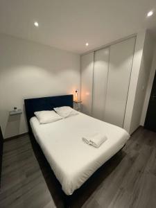 a bedroom with a large white bed with a white blanket at Charmant appartement une chambre in Ville-la-Grand