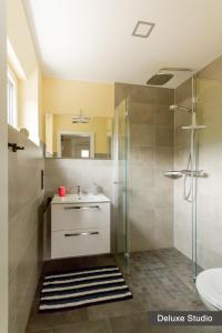 ein Bad mit einem Waschbecken und einer Glasdusche in der Unterkunft Rurtal de luxe in Simmerath