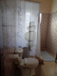 uma casa de banho com um WC e uma cortina de chuveiro em Super Appartement à 10mn de la mer em Cotonou