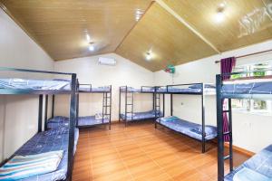 three bunk beds in a room with a wooden floor at Cat Ba Countryside Homestay in Cat Ba