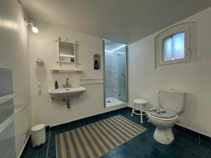 a bathroom with a toilet and a sink and a shower at Appartement Piscine LA CIOTAT - CEYRESTE in Ceyreste