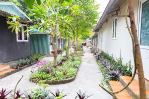 a courtyard of a building with flowers and plants at Cat Ba Countryside Homestay in Cat Ba