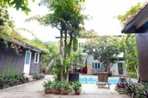a courtyard with potted plants and a swimming pool at Cat Ba Countryside Homestay in Cat Ba
