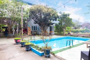 a swimming pool with potted plants next to a house at Cat Ba Countryside Homestay in Cat Ba