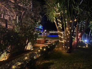 ogród z lampkami świątecznymi i palmami w nocy w obiekcie Villa Tommaso Maruggi, Sicilia, con Jacuzzi e piscina privata w mieście Alcamo