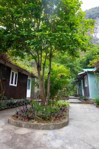 a tree in a flower bed in front of a house at Cat Ba Countryside Homestay in Cat Ba