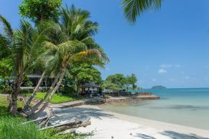 
a beach with palm trees and palm trees at Siam Bay Resort in Ko Chang
