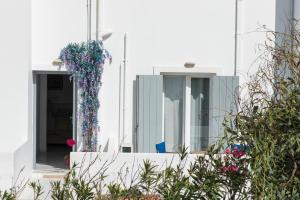 A garden outside V-rooms in Milos Cyclades