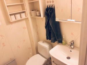 La petite salle de bains est pourvue de toilettes et d'un lavabo. dans l'établissement Detached house Mämmensalmi, à Äänekoski