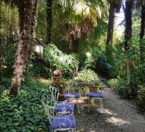 a table and chairs in a garden with palm trees at “Un Luogo Magico” in Marostica