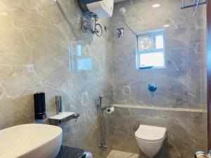 HOTEL MAA LAXMI PALACE في دوغار: حمام مع دش ومرحاض