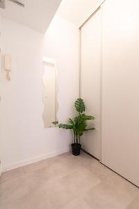 une plante dans une pièce avec un miroir dans l'établissement Le Studieux 2-T1-25m2-Métro 7, au Kremlin-Bicêtre
