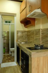 uma cozinha com um balcão, um lavatório e um WC em VIEDA HOTEL em Caticlan