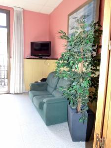 a living room with a green couch and a plant at Hostal Nuevo Colon in Barcelona