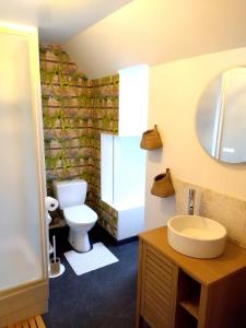 a bathroom with a toilet and a sink and a mirror at Gite de Amiens Poulainville in Poulainville