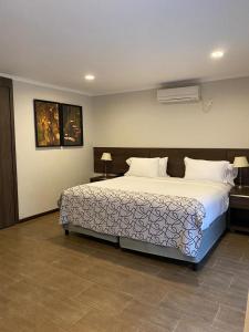 ein Schlafzimmer mit einem großen Bett in einem Zimmer in der Unterkunft Yvy Hotel de Selva in Puerto Iguazú