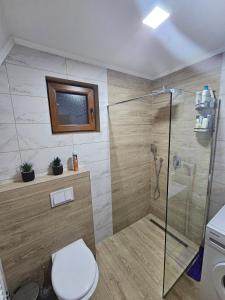 a bathroom with a toilet and a glass shower at Vikendica IVA in Pale