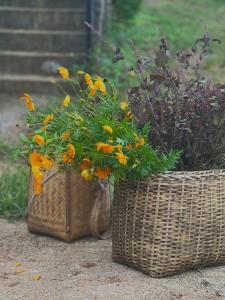 two baskets with flowers in them sitting on the ground at Vườn Trên Mây - Skyline Farm & Homestay in Mộc Châu