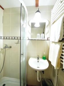a bathroom with a sink and a shower at etno kuća Đeram in Mokrin