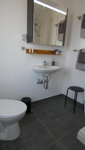 a bathroom with a white toilet and a sink at Gästehaus Hoxel in Hoxel