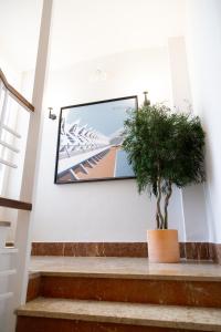 Fotografie z fotogalerie ubytování Hotel Alkazar ve Valencii