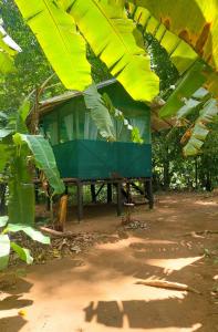 ein grünes Gebäude mit großen grünen Blättern darauf in der Unterkunft Rio Agujitas Eco-Jungle in Drake