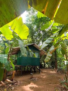 a small house in the middle of a forest at Rio Agujitas Eco-Jungle in Drake