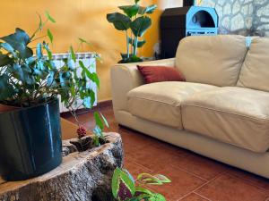 a living room with a couch and some plants at Luna de Gredos in Pedro Bernardo