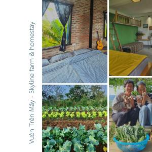 kolaż zdjęć ogrodu z warzywami w obiekcie Vườn Trên Mây - Skyline Farm & Homestay w mieście Mộc Châu