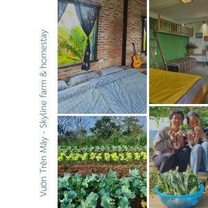 a collage of pictures of a garden with vegetables at Vườn Trên Mây - Skyline Farm & Homestay in Mộc Châu