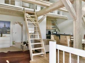 a loft bed with a ladder in a kitchen at Remise 2 in Neustadt in Holstein